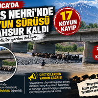 Genel