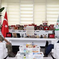 Eğitim