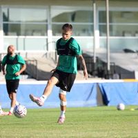 Spor