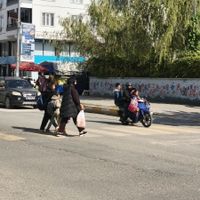 Eğitim