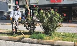 Iğdır Belediyesi Ekiplerinden Kapsamlı Çevre Temizliği