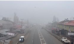 Ağrı’da sis etkili oldu