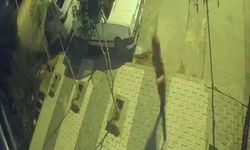 Arnavutköy’de faciadan dönüldü: Freni patlayan araç çocukların arasına böyle daldı