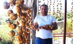 Balkonlar cennet elmasıyla renklendi