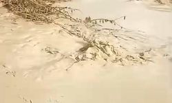 Baskil’de dereler taştı