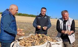 Beyşehir’de patates üreticisinin artan üretimle yüzü güldü