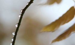 Bursa’da 2 günlük yağışlar ekim ayını kurtardı