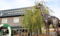 Büyükşehir’in "Sıfır Atık Kafe Ve Otobüs Durağı Projesi" Türkiye birincisi oldu
