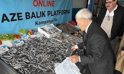 Denizlerde balık bolluğu: Hamsinin fiyatı 89 liraya düştü