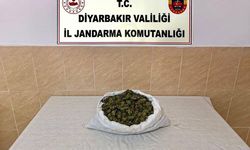 Diyarbakır’da uyuşturucu operasyonu