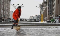 Erzurum güne kar ile uyandı