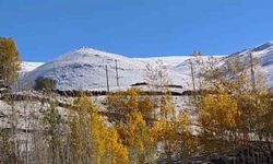 Hamur’daki Karlıca köyünde dağlar karla kaplandı, kartpostallık manzaralar oluştu