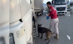 Iğdır’da kaçakçılık ve dolandırıcılık operasyonları: Çok sayıda kaçak ürün ele geçirildi, 4 şüpheli yakalandı