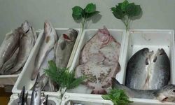 Kebap şehri Gaziantep’in yeni gözdesi balık