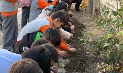 Konya’dan Yüksekova’ya gönül köprüsü: Ata tohumları toprakla buluştu