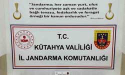Kütahya’da uyuşturucu operasyonu: 1 tutuklama