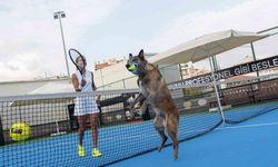 Milli Tenisçi Büyükakçay, patili dostu ile tenis oynadı