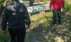 Ortaca’da arılı kovan desteklemeleri devam ediyor