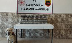Şanlıurfa’da 7 bin 940 paket kaçak sigara ele geçirildi