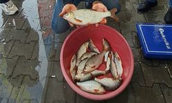 Sapanca Gölü’nde kızılkanat heyecanı: Amatör balıkçılar kıyasıya yarıştı
