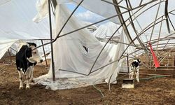 Serik’te hasar tespit çalışmaları sürüyor