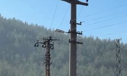 Trafik cezasına öfkelenen sürücü elektrik direğine çıktı