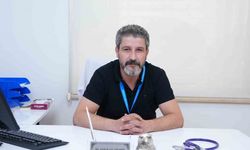 Uzmandan uyarı: Salmonella sadece mideyi değil, organları da vuruyor