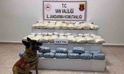 Van’da 47 kilo skunk ele geçirildi
