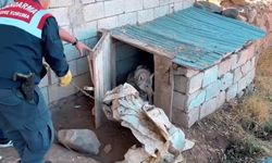 Van’da kurdu zincirle bağlayan şahsa 81 bin 355 TL para cezası