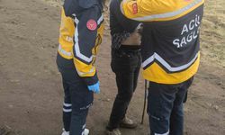 Yanına yıldırım düşen şahıs yaralandı