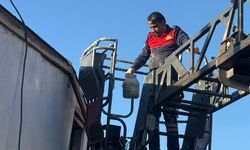 Duyarlı SYDV Personellerinden Örnek Davranış: Mahsur Kalan Yavru Kedi Kurtarıldı