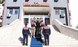 IĞDIR’DA KÖPEK DÖVÜŞÜNE SUÇÜSTÜ OPERASYON: 14 GÖZALTI