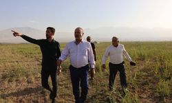 Iğdır Belediyesi ve Orman İşletmesi’nden 140 Hektarlık Orman Projesi