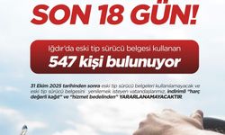 Iğdır’da 547 Kişi Hâlâ Eski Ehliyetle Dolaşıyor