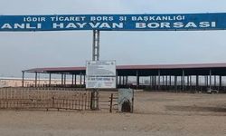 Iğdır canlı hayvan pazarı yeniden açıldı