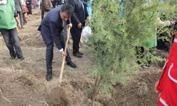 Iğdır’da 11 Kasım Milli Ağaçlandırma Günü Coşkuyla Kutlandı