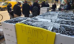 IĞDIR’DA BALIK SEVİNCİ! HAMSİNİN KİLOSU 50 LİRAYA DÜŞTÜ, TEZGAHLAR DOLUP TAŞTI