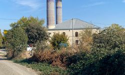 Camide Domuz Beslediler