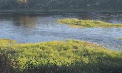 10 yaşındaki Hızır Ali hayatını kaybetti