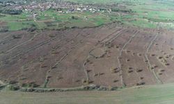 2 yılda 845 dekar mera alanı ıslah edildi