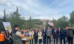 3 bin fidan toprakla buluştu