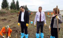 Açık Ceza İnfaz Kurumunda 10 dekar alana Sakız ağacı fidanı dikildi