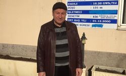 Ağaçtan düşen vatandaş hayatını kaybetti