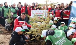 Aile Yılı’nda anlamlı buluşma: Aile Hatıra Ormanı’nda fidanlar toprakla buluştu