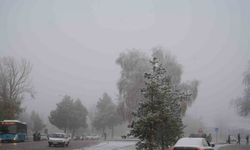 Araç sayısı 150 bini geçti