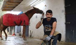 Asırlık gelenek bitiyor, son ustalar çalışmaya devam ediyor