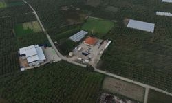 Büyükşehirden kırsal kalkınmaya tam destek