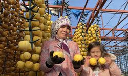 ’Cennet Hurması Festivali’