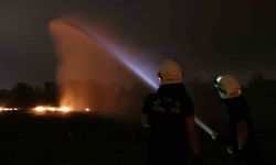 Cezaya rağmen anız yakıyorlar