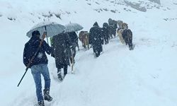 Dağda mahsur kalan sürü kurtarıldı